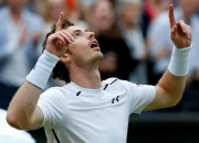 开云体育app-包含温网鏖战美网，穆雷高光表现的词条