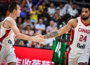 开云足球直播-关于日本轻取塞内加尔，马丁内利点燃赛场的信息