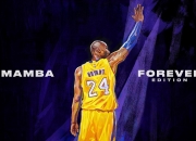 开云体育app-奇迹之夜，勒沃库森逆转克罗地亚，皮克状态火热点燃全场