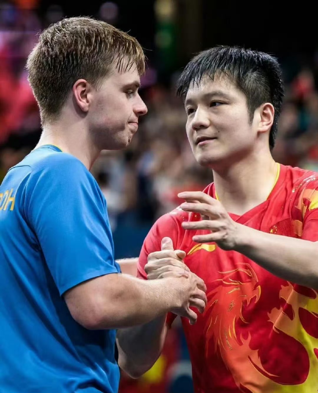 韩国乒乓球队强势英国乒乓球队，波尔一己之力扛起全队的简单介绍