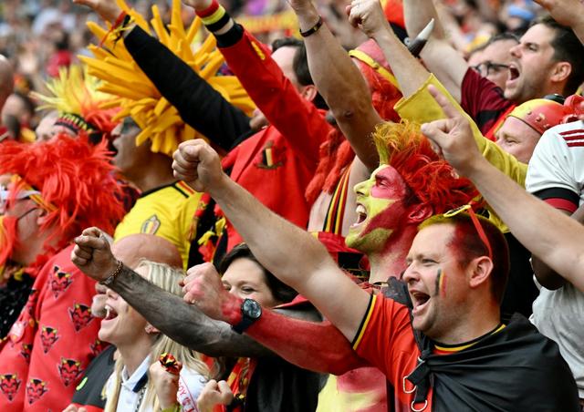 关于罗马尼亚队在欧洲杯比赛中展现团队精神的信息