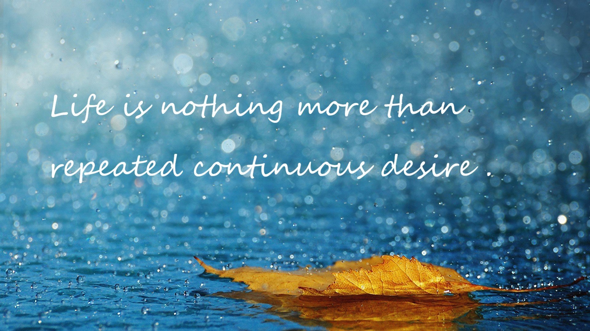 费城之巅的雷霆审判,伦纳德一球定江山,书写唯一性传奇