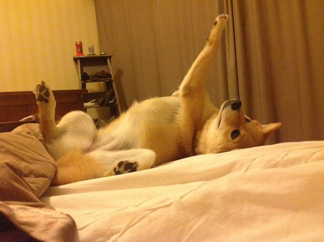 费城之巅的雷霆审判,伦纳德一球定江山,书写唯一性传奇