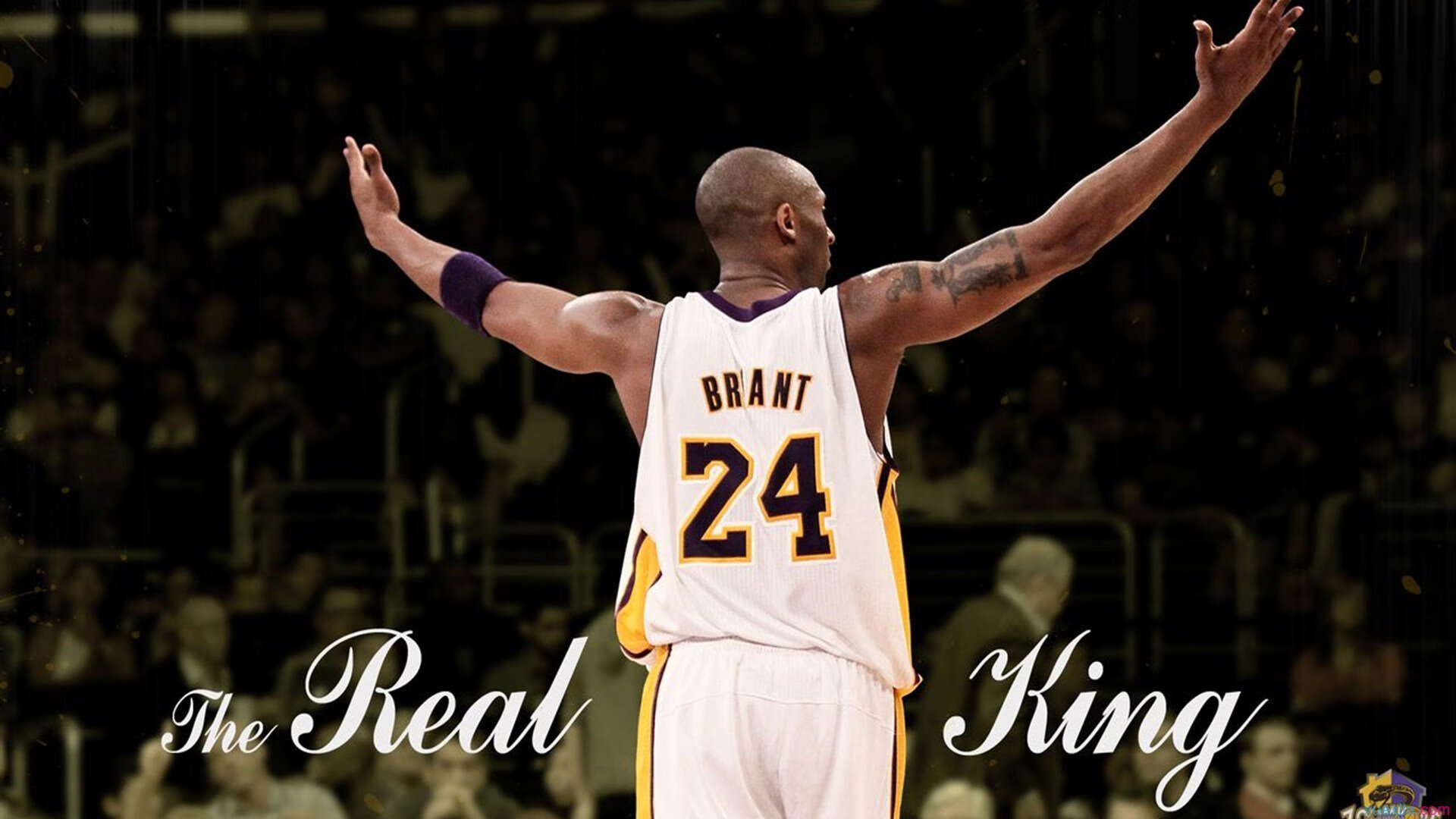 赛道与绿茵的交响，当F1争冠焦点遇上皇家社会的卡塔尔节奏